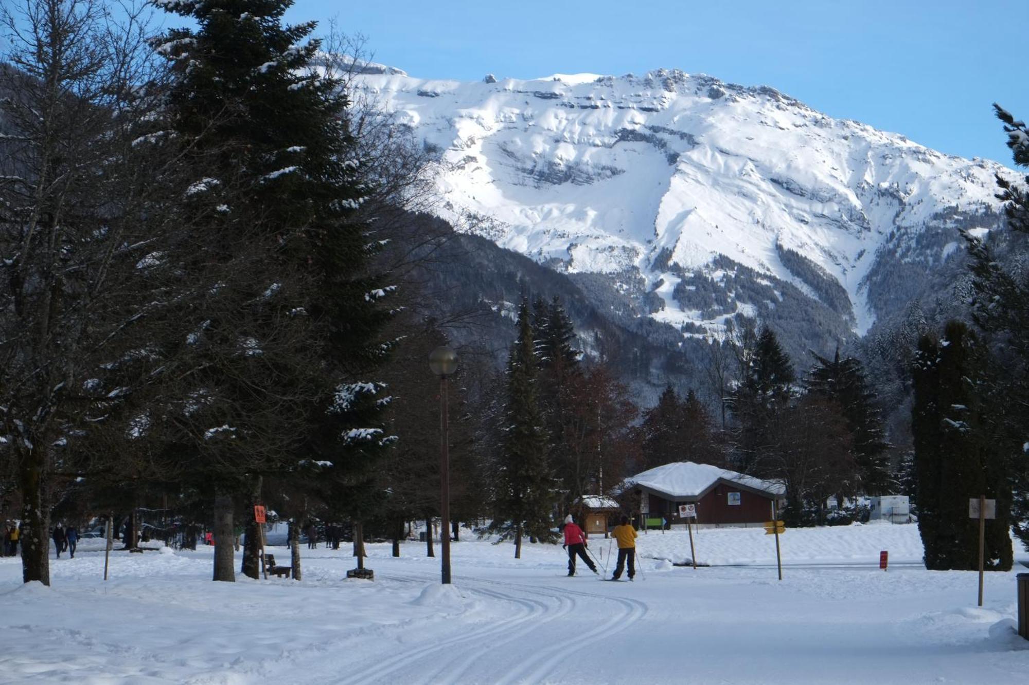 Particulier Loue 2 Appartements Communicants Dans Chalet A Samoens Jusqu A 16 Couchages Exterior photo